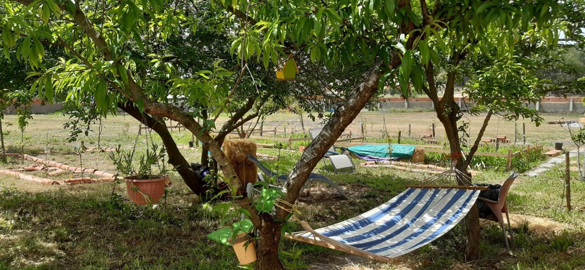 Noctua Villam * Marinha Grande